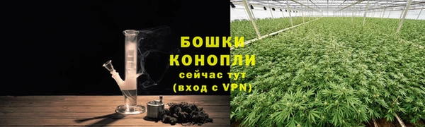 ешки Аркадак