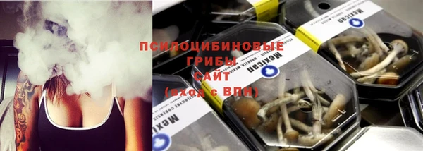 ешки Аркадак