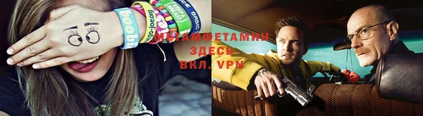 ешки Аркадак