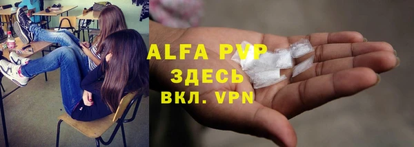 ешки Аркадак