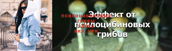 герыч Арсеньев