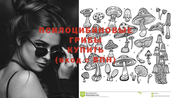 герыч Арсеньев