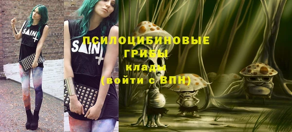 ешки Аркадак
