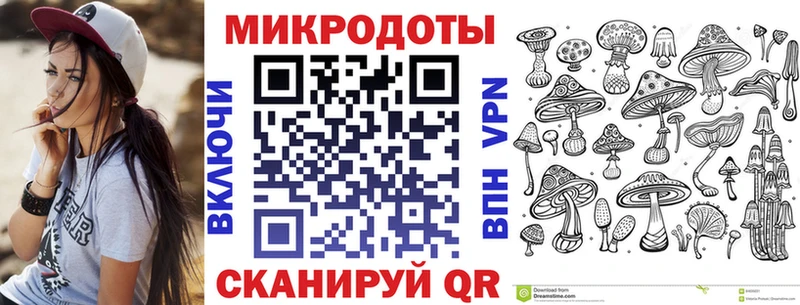 Галлюциногенные грибы Psilocybine cubensis  Уржум 